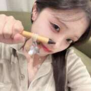 なづ 相棒はこの子っ ルーフ福井