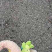 ヒメ日記 2026/03/31 12:37 投稿 萌愛　もあ OLセレクション宇都宮店