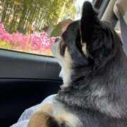 ヒメ日記 2026/04/01 16:22 投稿 萌愛　もあ OLセレクション宇都宮店