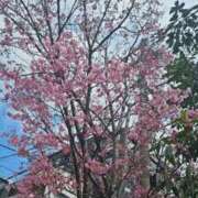 ヒメ日記 2026/03/17 14:33 投稿 セナ 五反田痴女性感フェチ倶楽部