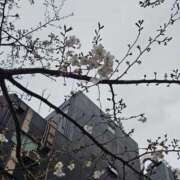 ヒメ日記 2026/03/25 15:04 投稿 セナ 五反田痴女性感フェチ倶楽部