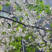 ヒメ日記 2026/04/05 14:17 投稿 セナ 五反田痴女性感フェチ倶楽部