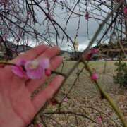 ヒメ日記 2026/02/26 16:02 投稿 佐藤しおり 五十路マダム金沢店