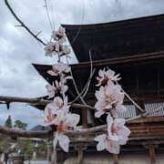 ヒメ日記 2026/03/29 09:52 投稿 関りょう 五十路マダム金沢店