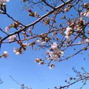 ヒメ日記 2026/04/01 09:58 投稿 関りょう 五十路マダム金沢店