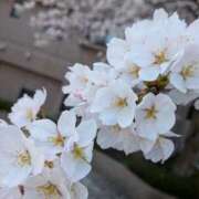 ヒメ日記 2026/04/03 12:18 投稿 関りょう 五十路マダム金沢店