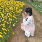 ヒメ日記 2026/03/04 23:44 投稿 星野ひめか 渋谷ガーデン