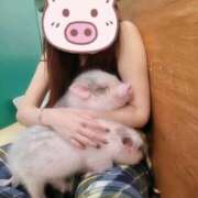 ヒメ日記 2026/03/23 17:29 投稿 希純　じゅん OLセレクション宇都宮店