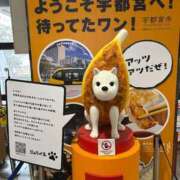 ヒメ日記 2026/03/26 12:45 投稿 希純　じゅん OLセレクション宇都宮店