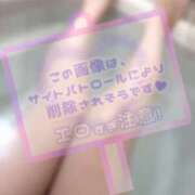 ヒメ日記 2026/02/11 14:51 投稿 とき LEVEL1