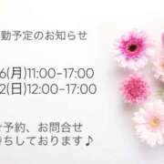 ヒメ日記 2026/02/11 10:12 投稿 倉田かれん 五十路マダム金沢店
