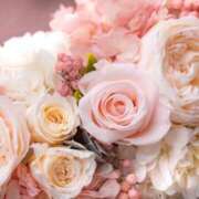 倉田かれん 出勤?ご予約ありがとう?.*゜ 五十路マダム金沢店