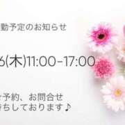 ヒメ日記 2026/03/20 08:50 投稿 倉田かれん 五十路マダム金沢店