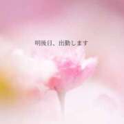 ヒメ日記 2026/05/19 12:18 投稿 倉田かれん 五十路マダム金沢店