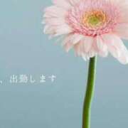ヒメ日記 2026/09/13 16:46 投稿 倉田かれん 五十路マダム金沢店