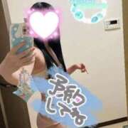 ヒメ日記 2026/02/07 13:58 投稿 なずな IRIS一宮