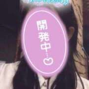 ヒメ日記 2026/02/12 02:21 投稿 なずな IRIS一宮