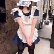 なずな もう少し… IRIS一宮