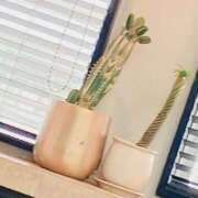 ヒメ日記 2026/03/16 13:36 投稿 いろは ぐっすり山田　池袋店