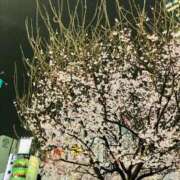 ヒメ日記 2026/03/20 14:38 投稿 いろは ぐっすり山田　池袋店