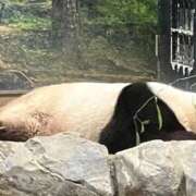 ヒメ日記 2026/03/21 23:22 投稿 いろは ぐっすり山田　池袋店