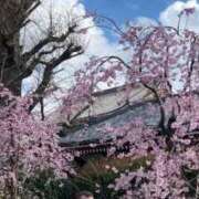 いろは きれい ぐっすり山田　池袋店