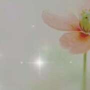 ヒメ日記 2026/03/07 13:07 投稿 はるな 鹿児島ちゃんこ 薩摩川内店