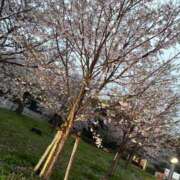 ヒメ日記 2026/04/02 21:20 投稿 カリン ルパン