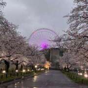 ヒメ日記 2026/04/05 08:00 投稿 カリン ルパン