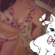 結希(ゆき) にゃん♡ Chaleur (シャルール)