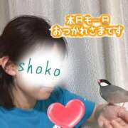ヒメ日記 2026/08/04 22:15 投稿 しょうこ 町田人妻城