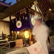 ヒメ日記 2026/03/08 22:29 投稿 はな 素人妻御奉仕倶楽部Hip's松戸店