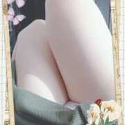 かよ お礼です✺⋆* (⸝⸝⸝´▽`⸝⸝⸝)⋆*✺ モアグループ 土浦人妻花壇