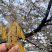 ヒメ日記 2026/04/08 17:22 投稿 ふわり 西川口ぷよステーション