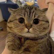 ヒメ日記 2026/03/02 20:59 投稿 みくる 完熟ばなな八王子