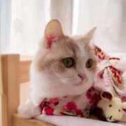 ヒメ日記 2026/03/09 19:13 投稿 みくる 完熟ばなな八王子