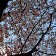 ヒメ日記 2026/04/04 14:59 投稿 みくる 完熟ばなな八王子