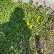 ゆうな 春🌸 京都デリヘル倶楽部