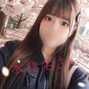 ヒメ日記 2026/04/23 12:59 投稿 ♡せな♡ Premier(プレミア)