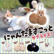 ヒメ日記 2026/05/14 14:21 投稿 みんな最初は貧乳だっだんだよ。 GOOD-グッド-