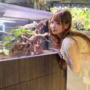 ヒメ日記 2026/06/07 20:32 投稿 みんな最初は貧乳だっだんだよ。 GOOD-グッド-