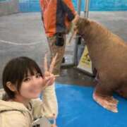 ヒメ日記 2026/04/09 21:09 投稿 ♡あめ♡ Premier(プレミア)