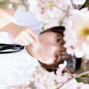 ヒメ日記 2026/04/12 21:19 投稿 ♡あめ♡ Premier(プレミア)