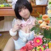 ヒメ日記 2026/05/13 07:09 投稿 ♡あめ♡ Premier(プレミア)
