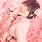 ヒメ日記 2026/06/13 15:19 投稿 ♡あめ♡ Premier(プレミア)