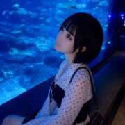 ヒメ日記 2026/06/15 14:29 投稿 ♡あめ♡ Premier(プレミア)