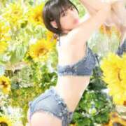 ヒメ日記 2026/07/04 15:09 投稿 ♡あめ♡ Premier(プレミア)