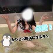 ヒメ日記 2026/04/26 15:29 投稿 ♡かや♡ Premier(プレミア)