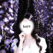 ヒメ日記 2026/06/01 11:59 投稿 ♡かや♡ Premier(プレミア)