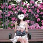 ヒメ日記 2026/05/15 09:53 投稿 ♡まりあ♡ Premier(プレミア)